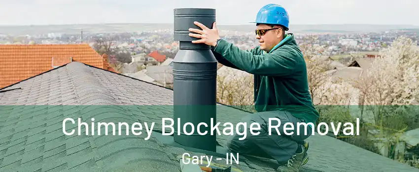  Chimney Blockage Removal Gary - IN